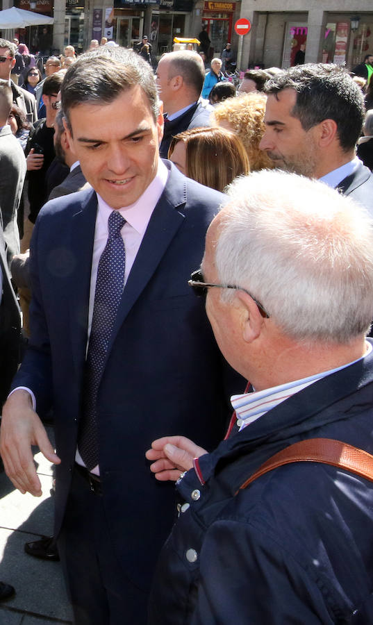 Fotos: Visita de Pedro Sánchez a Segovia