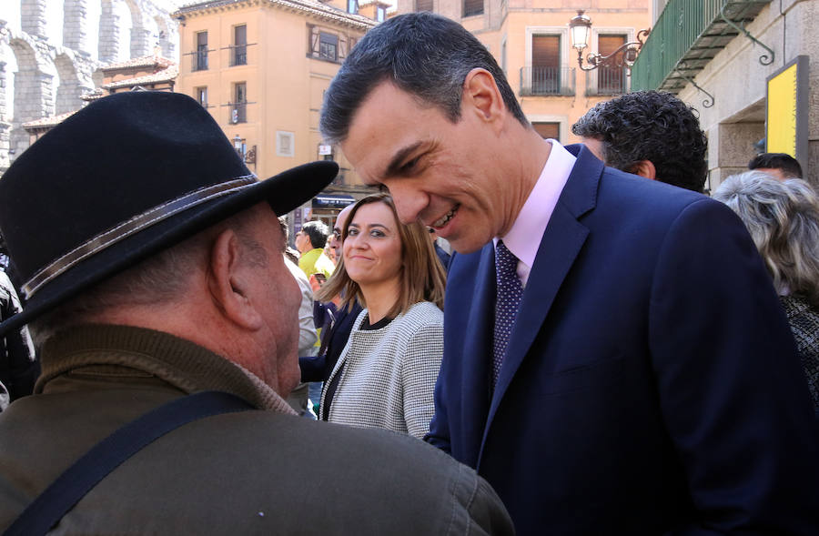 Fotos: Visita de Pedro Sánchez a Segovia