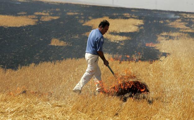 Un agricultor quema unos rastrojos. 
