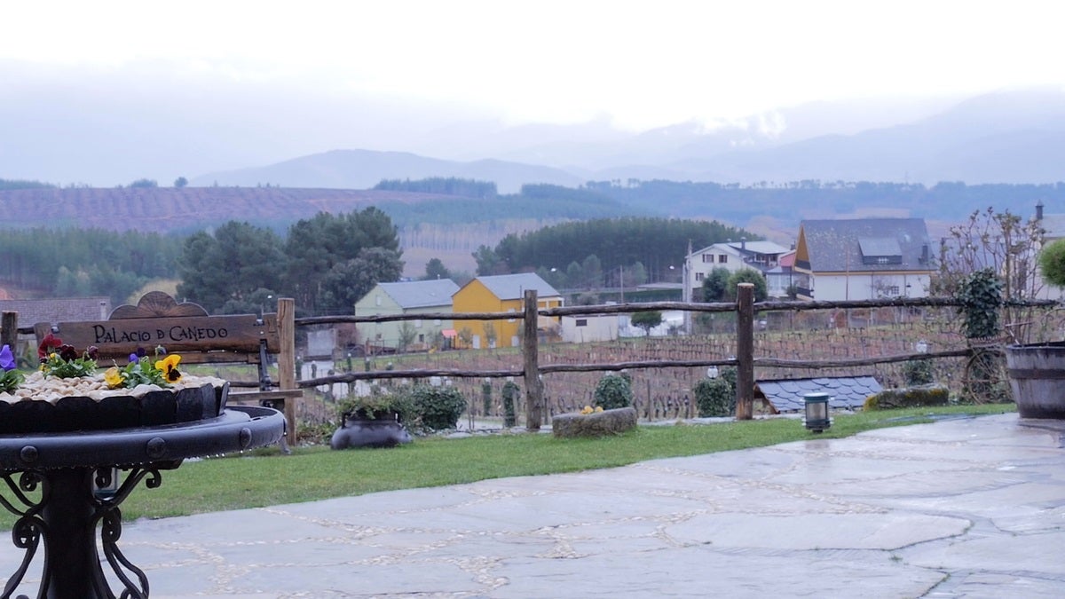 Leonoticias recorre la provincia para descubrir lo que esconden los productos de León avalados con un sello de calidad, en la primera parada conocemos la manzana reineta, la pera conferencia, la castaña, la cereza, el pimiento asado y, como no, el emblema culinario de la comarca bercina