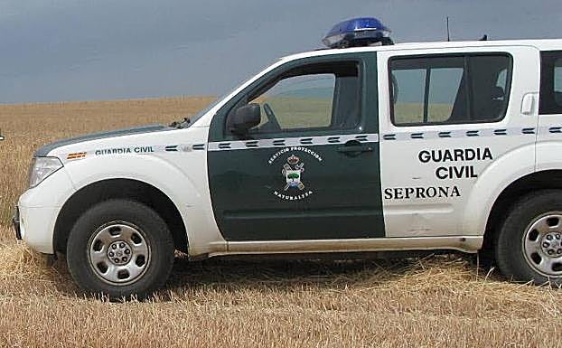 La Guardia Civil de Valladolid denuncia una marcha caballista no autorizada entre Valdestillas y Viana