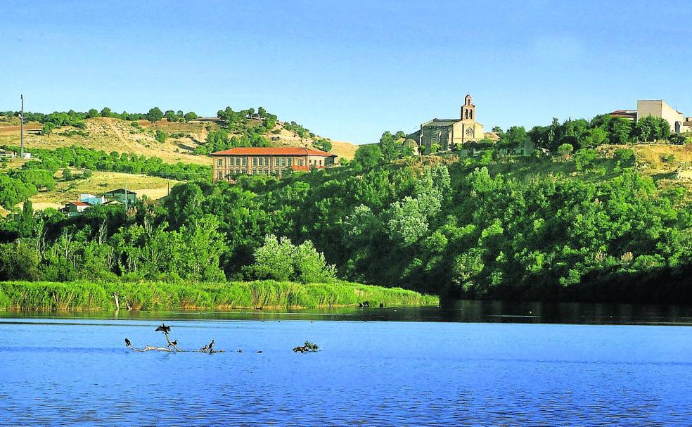 Duero. El río, a su paso por Castronuño.