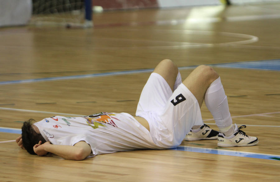 Fotos: Naturpellet Segovia - Santa Coloma