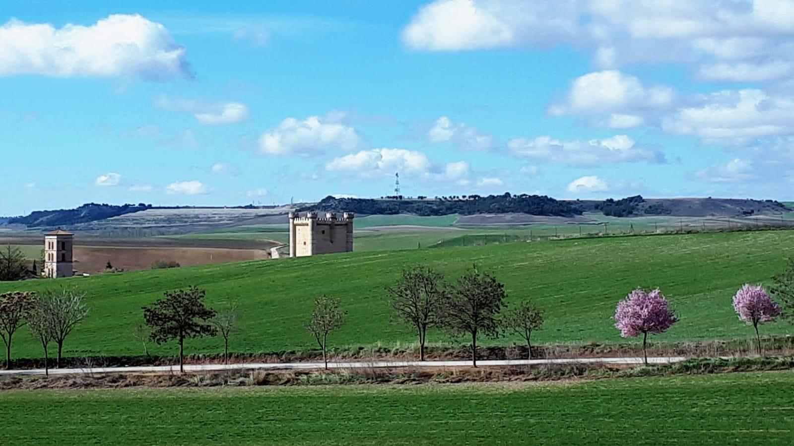 Camino de Fuensaldaña