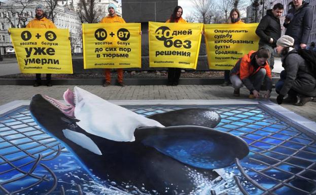 Greenpeace protesta en Moscú por las ballenas «encarceladas» en el Extremo Oriente ruso