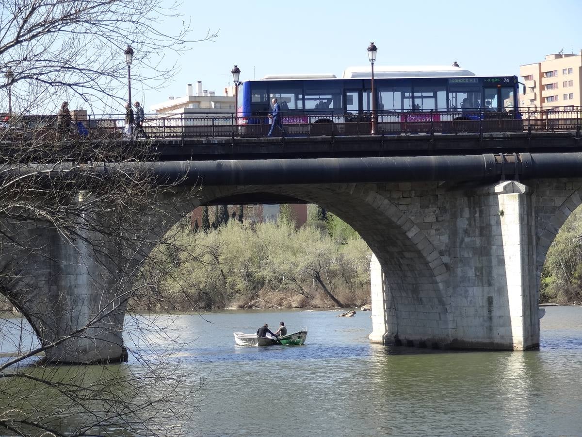 Fotos: El trabajo de los voluntarios libera de troncos los ojos del Puente Mayor de Valladolid