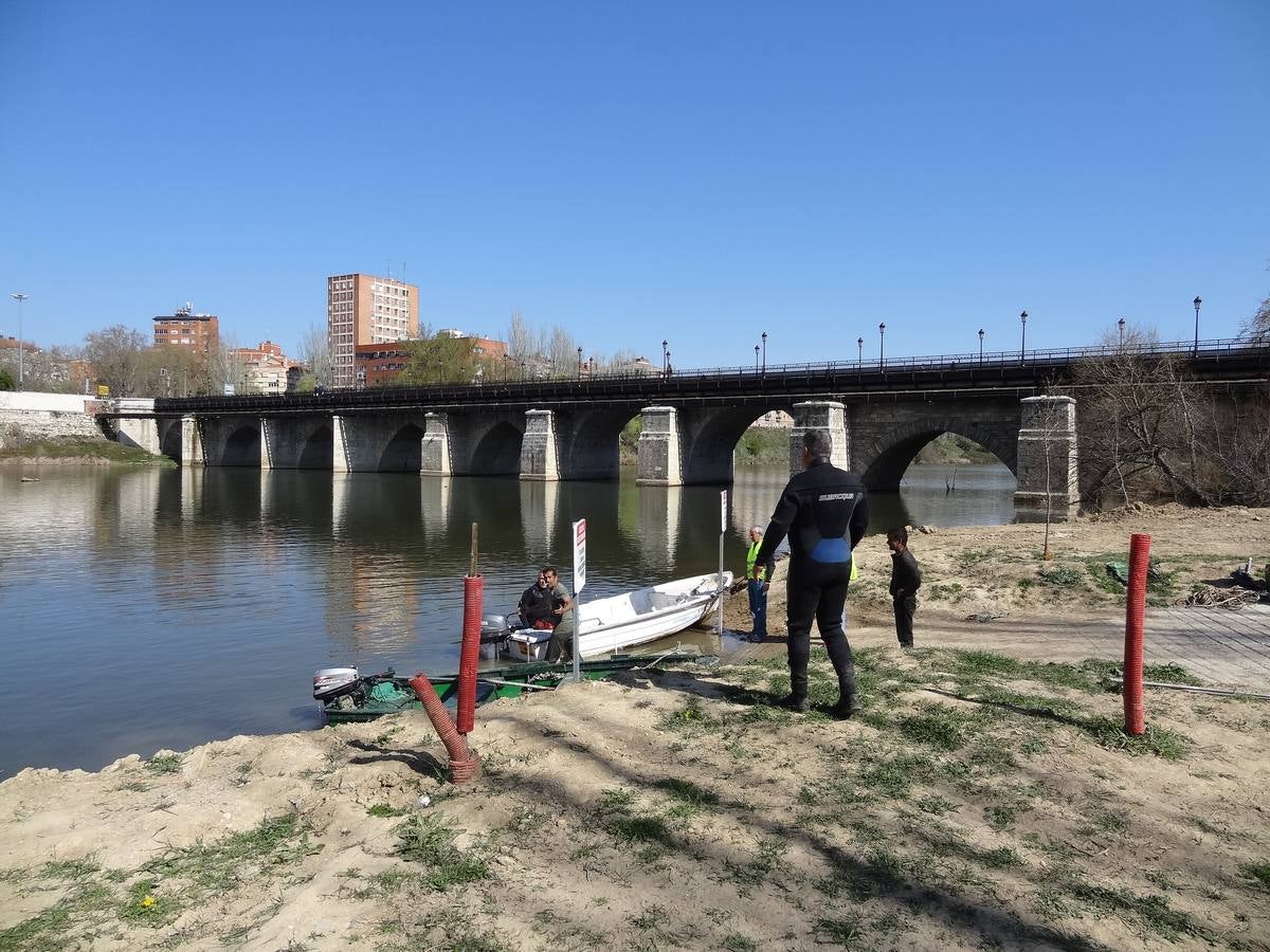 Fotos: El trabajo de los voluntarios libera de troncos los ojos del Puente Mayor de Valladolid