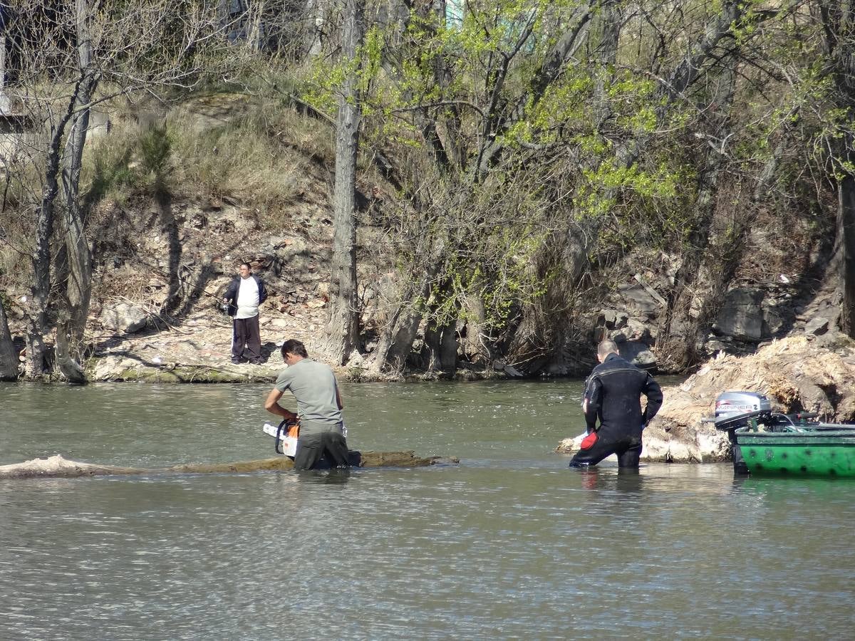 Fotos: El trabajo de los voluntarios libera de troncos los ojos del Puente Mayor de Valladolid