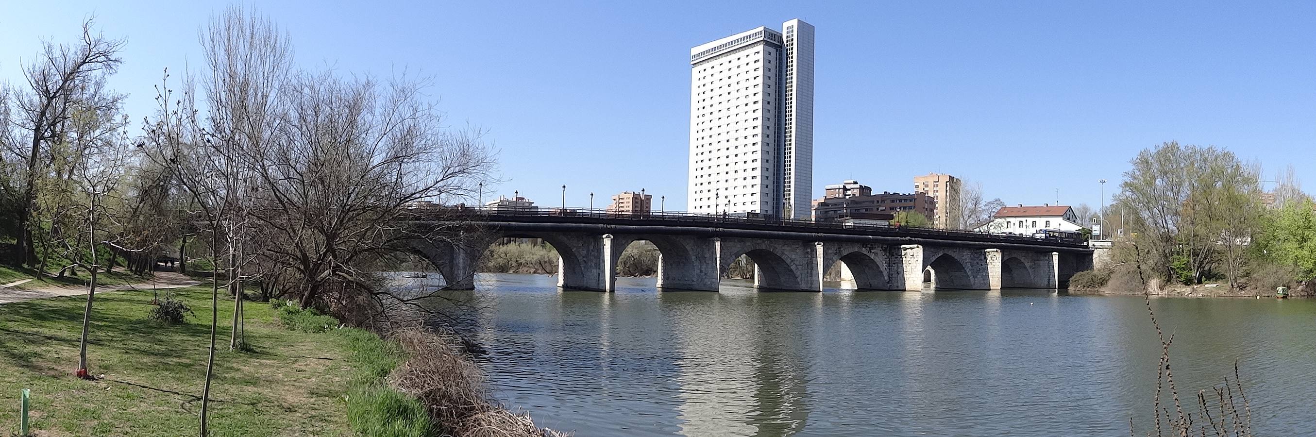 Fotos: El trabajo de los voluntarios libera de troncos los ojos del Puente Mayor de Valladolid