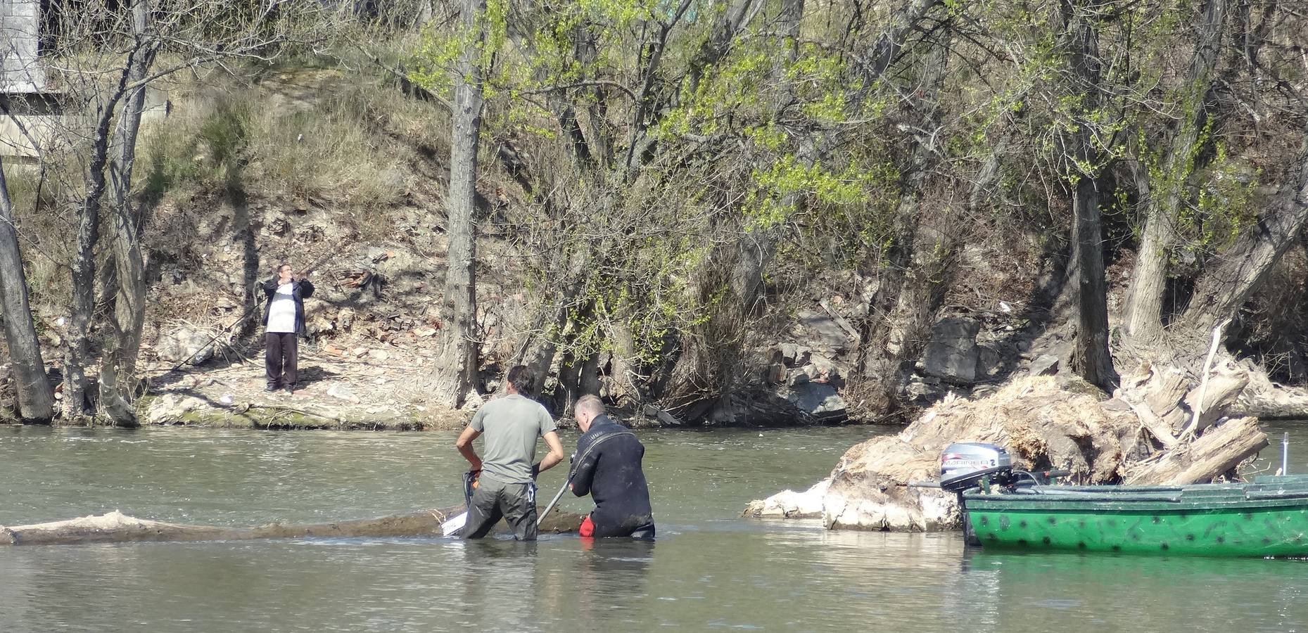 Fotos: El trabajo de los voluntarios libera de troncos los ojos del Puente Mayor de Valladolid