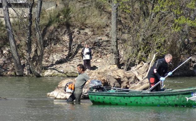 Las labores de limpieza del cauce del Pisuerga se centran ahora en la retirada de los troncos varados en la pesquera de Las Moreras.