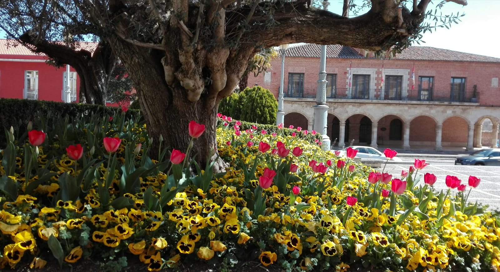 Medina de Rioseco.