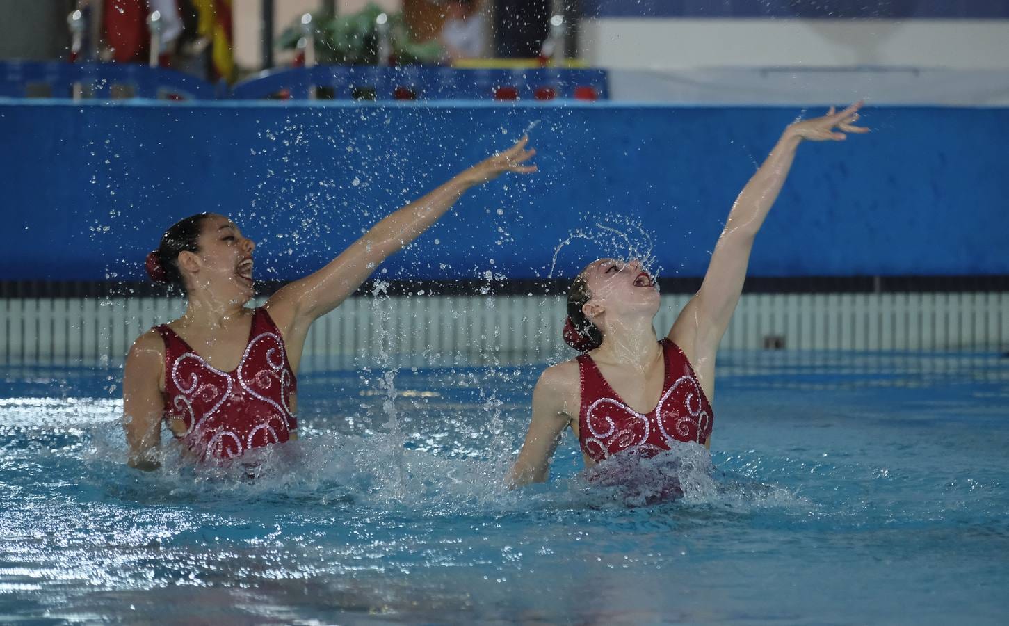 Fotos: XX Campeonato de España de Invierno de Natación Artística Junior-Senior (1/2)