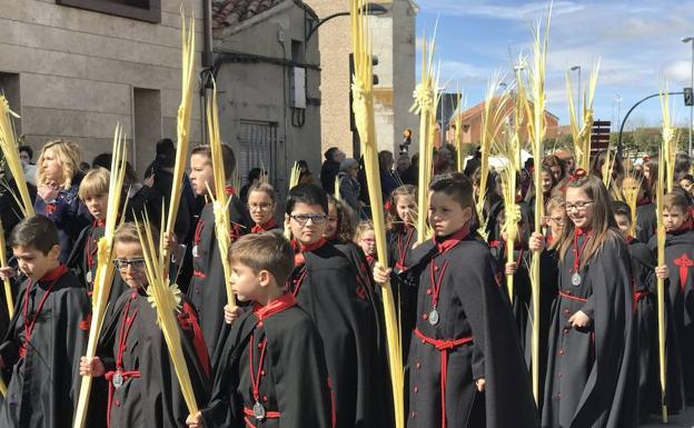 Procesión de la Borriquilla en Medina del Campo