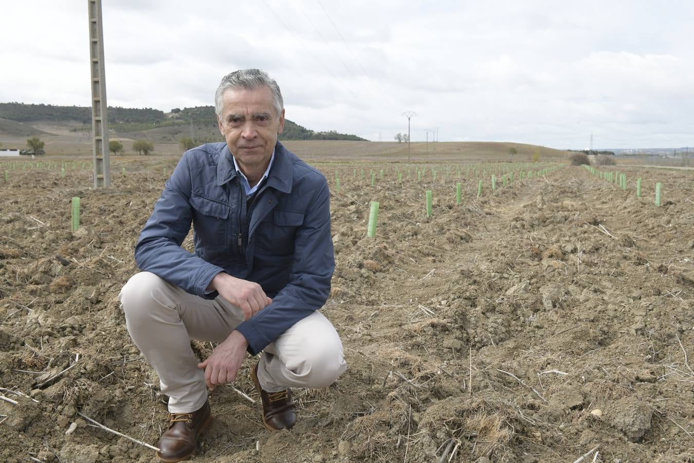 El programa ha sido financiado por la Fundación Iberdrola con 140.000 euros y permitirá la absorción de 1.900 toneladas de CO2