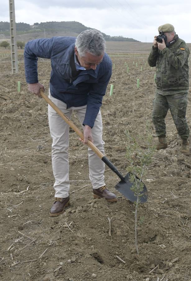 El programa ha sido financiado por la Fundación Iberdrola con 140.000 euros y permitirá la absorción de 1.900 toneladas de CO2