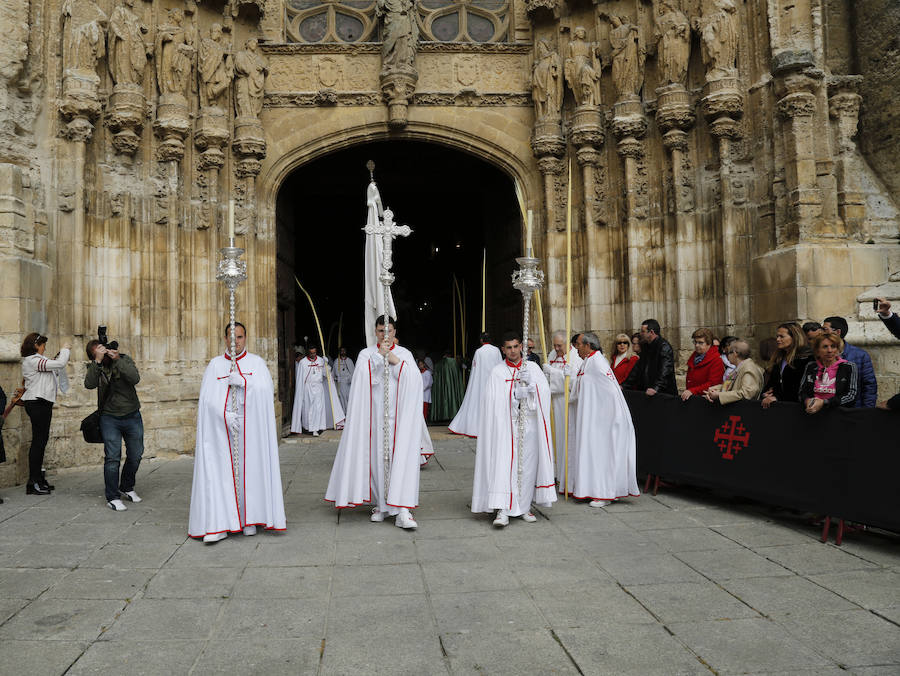 Fotos: Procesión del Domingo de Ramos en Palencia