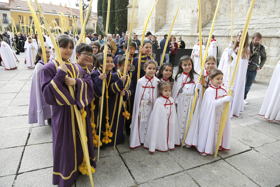 Fotos: Procesión del Domingo de Ramos en Palencia