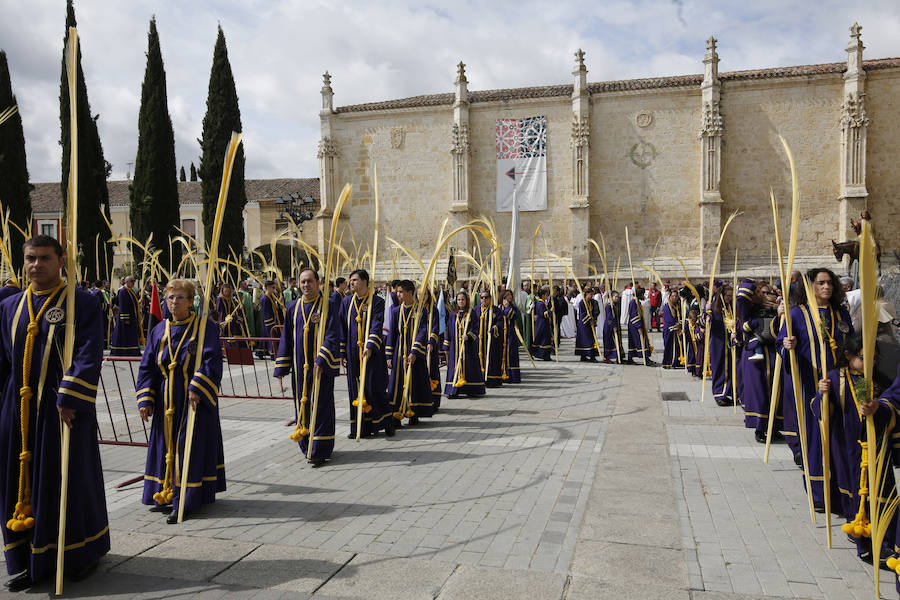 Fotos: Procesión del Domingo de Ramos en Palencia