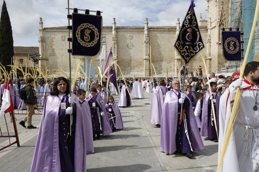 Fotos: Procesión del Domingo de Ramos en Palencia