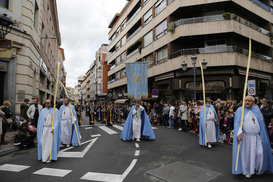 Fotos: Procesión del Domingo de Ramos en Palencia