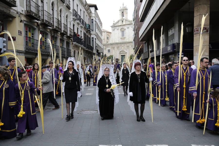 Fotos: Procesión del Domingo de Ramos en Palencia