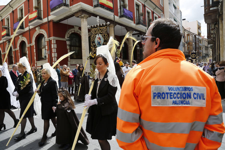 Fotos: Procesión del Domingo de Ramos en Palencia