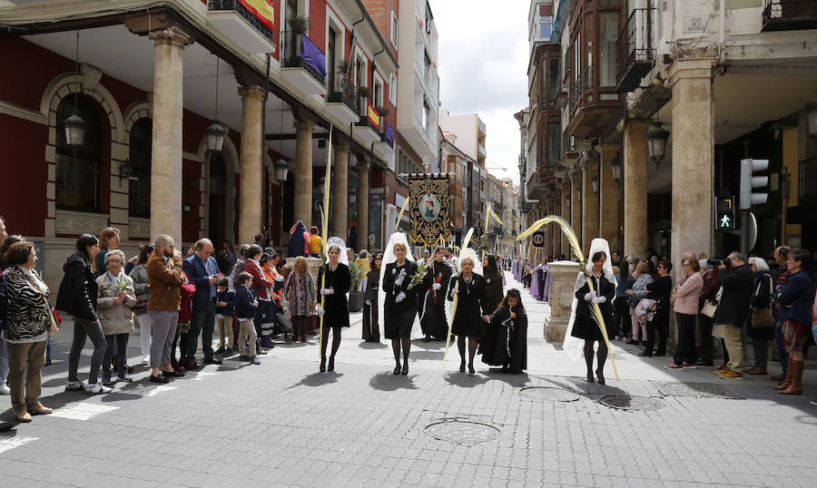 Fotos: Procesión del Domingo de Ramos en Palencia