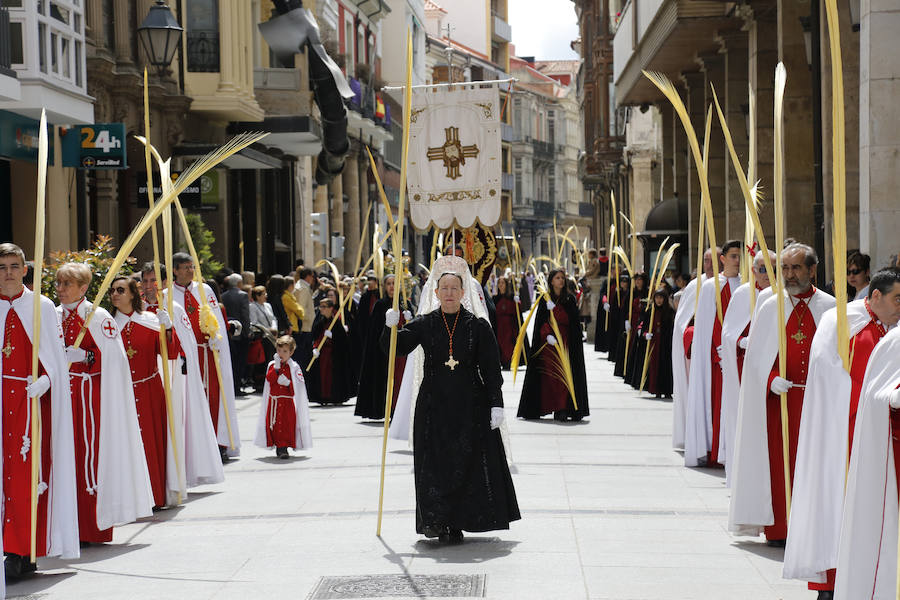 Fotos: Procesión del Domingo de Ramos en Palencia