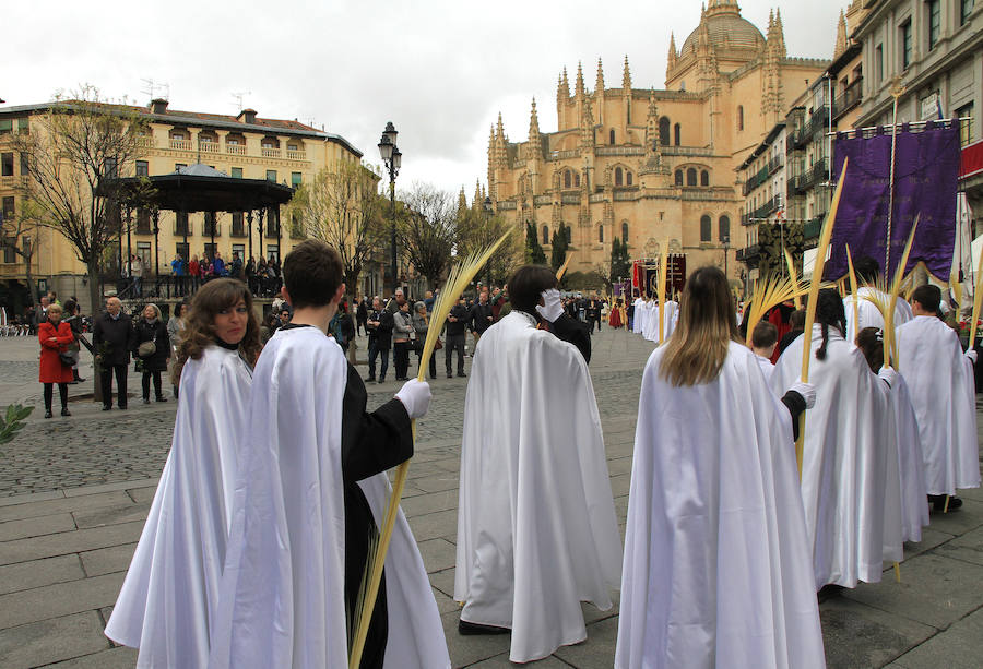 Fotos: Domingo de Ramos. Bendición de las palmas en San Miguel
