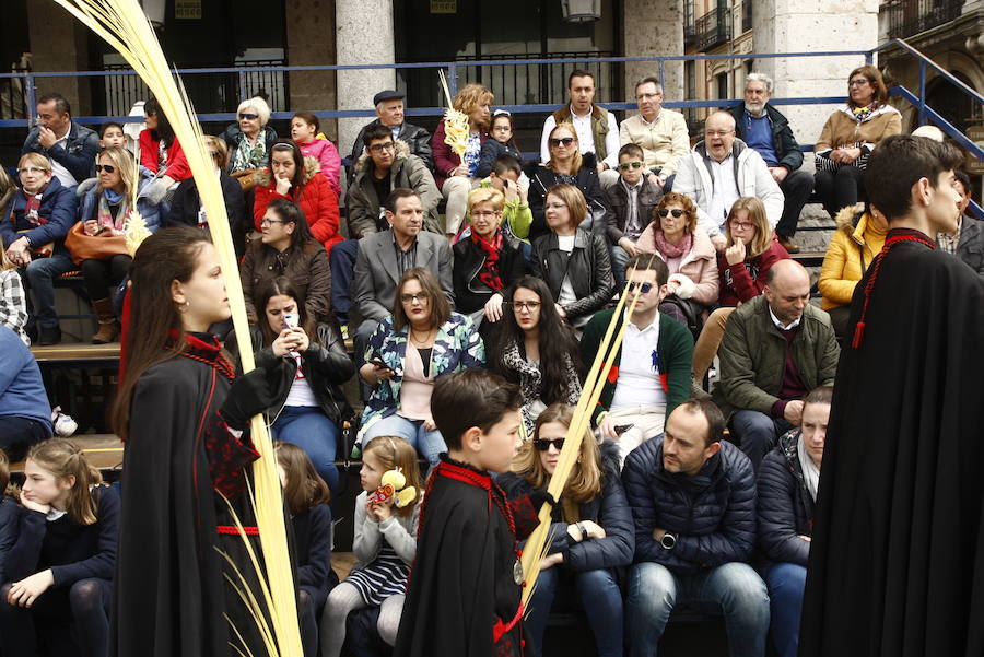 Fotos: Procesión de la Borriquilla en Valladolid (1/6)