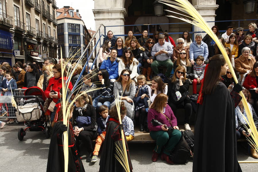 Fotos: Procesión de la Borriquilla en Valladolid (2/6)