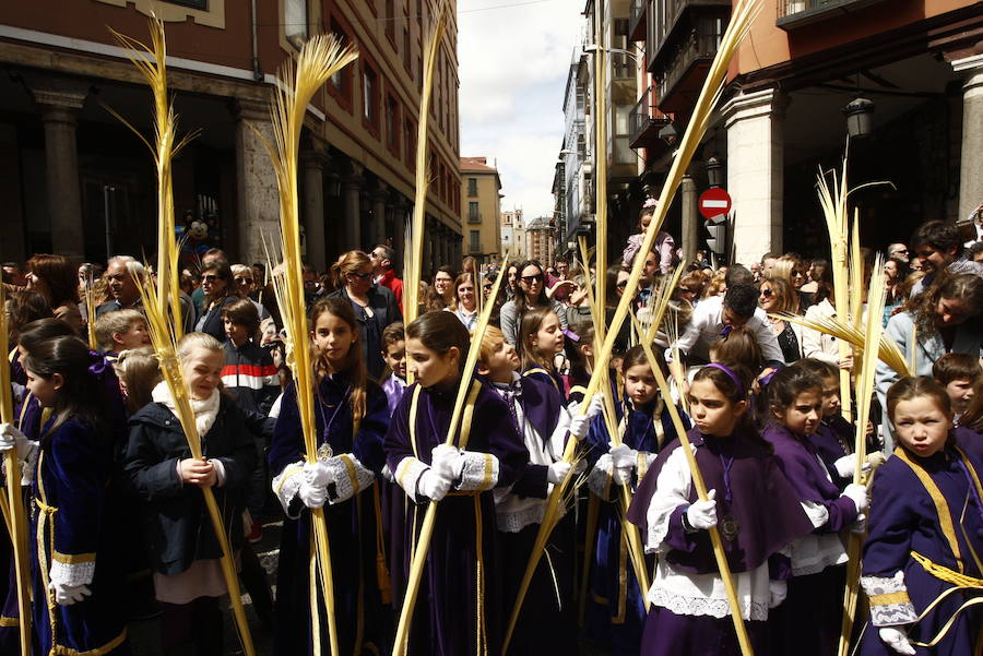 Fotos: Procesión de la Borriquilla en Valladolid (3/6)