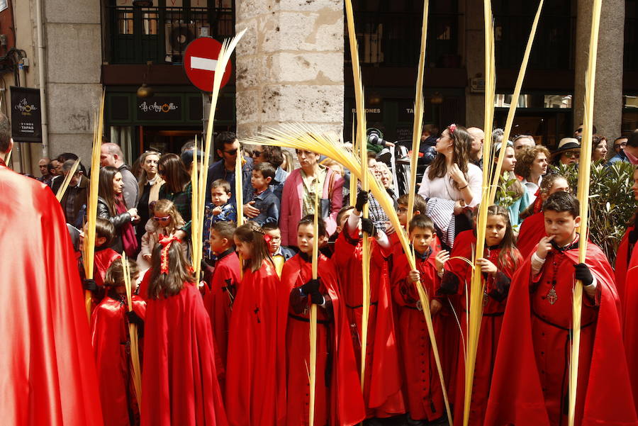 Fotos: Procesión de la Borriquilla en Valladolid (3/6)