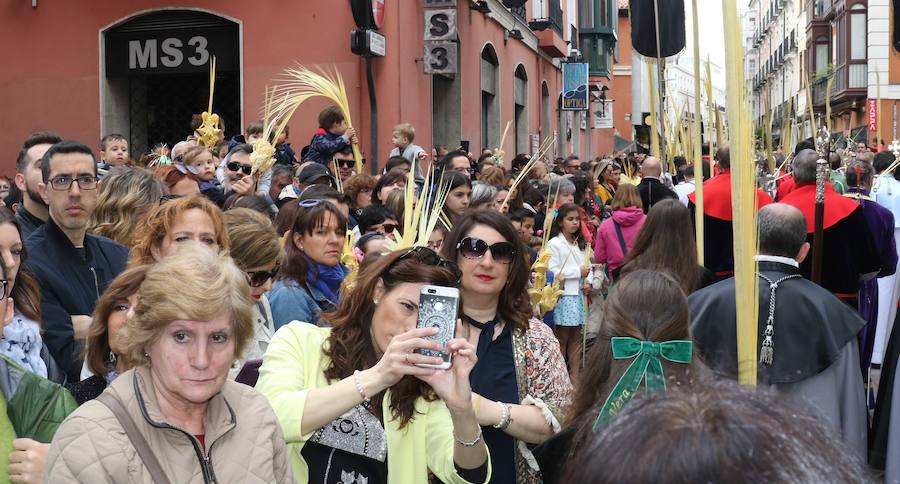 Fotos: Procesión de Las Palmas en Valladolid