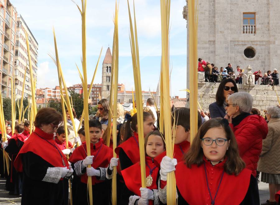Fotos: Procesión de Las Palmas en Valladolid