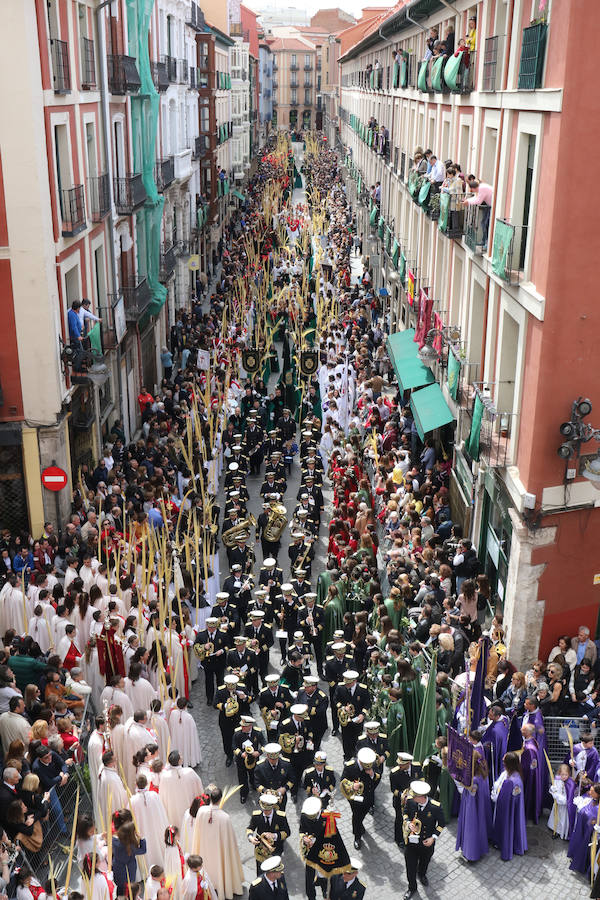 Fotos: Procesión de Las Palmas en Valladolid