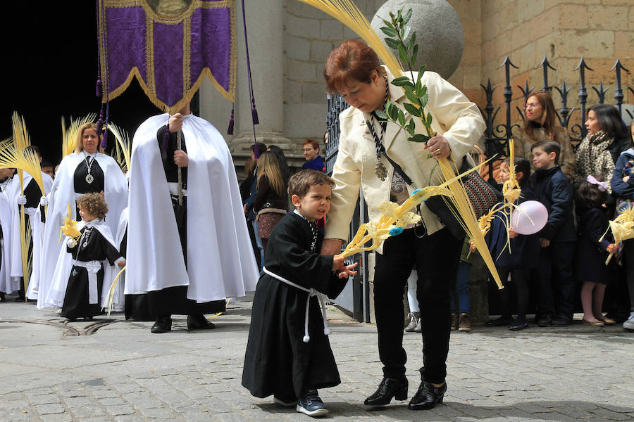Fotos: Procesión de la Borriquilla en Segovia