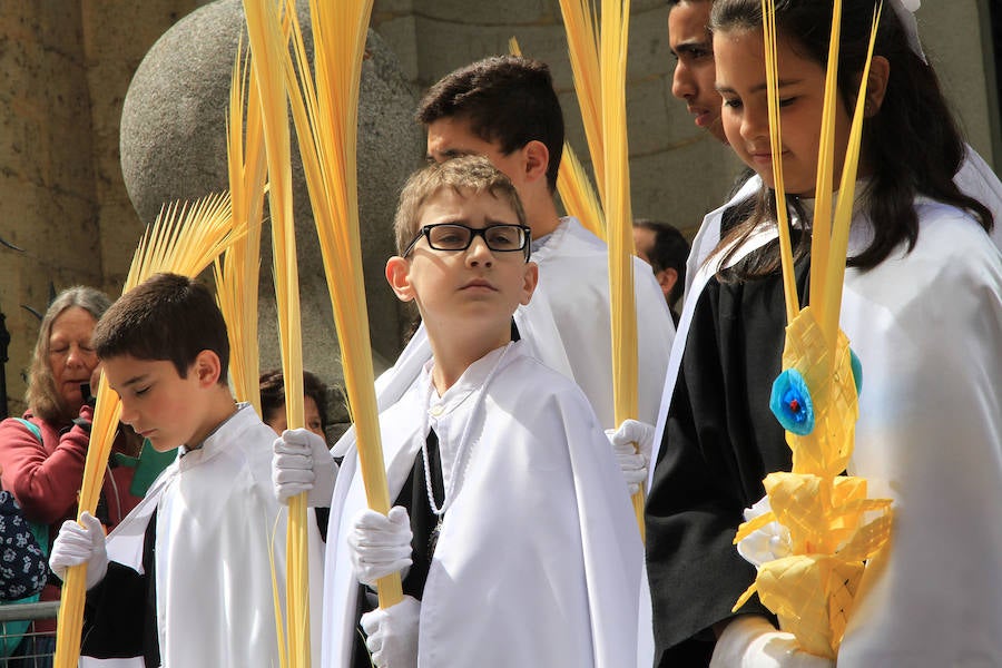 Fotos: Procesión de la Borriquilla en Segovia
