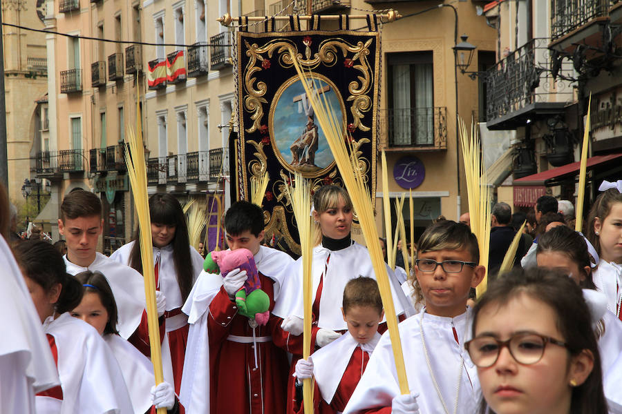 Fotos: Procesión de la Borriquilla en Segovia