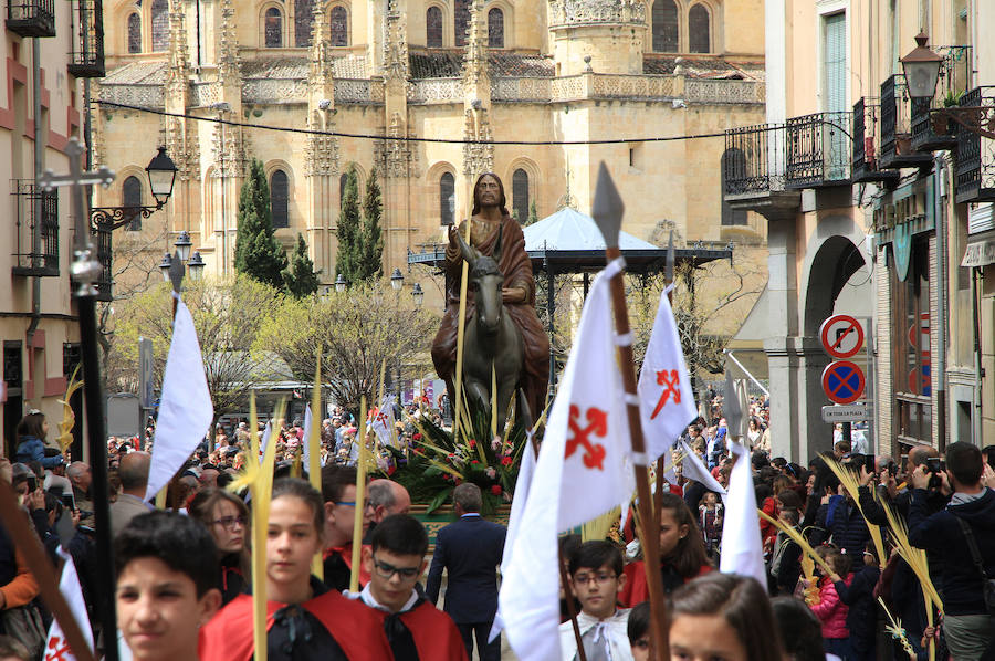 Fotos: Procesión de la Borriquilla en Segovia