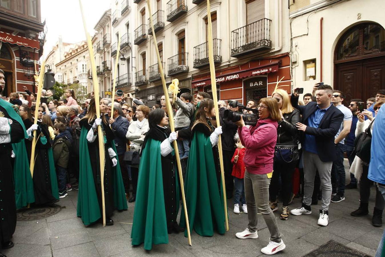 Fotos: Procesión de la Borriquilla en Valladolid (1/6)