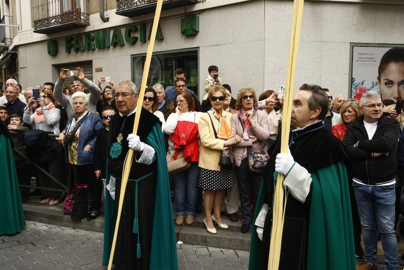 Fotos: Procesión de la Borriquilla en Valladolid (1/6)