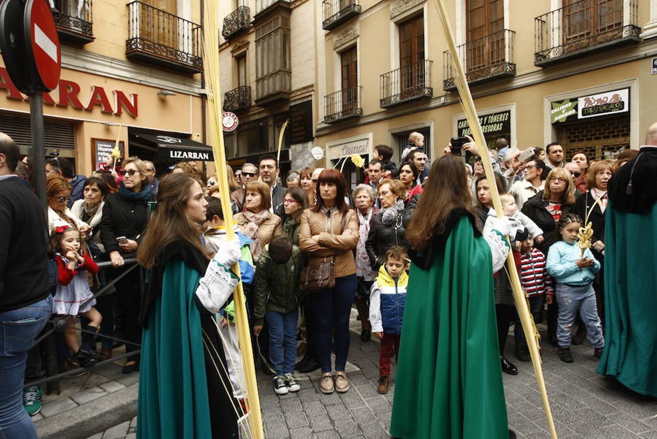 Fotos: Procesión de la Borriquilla en Valladolid (1/6)