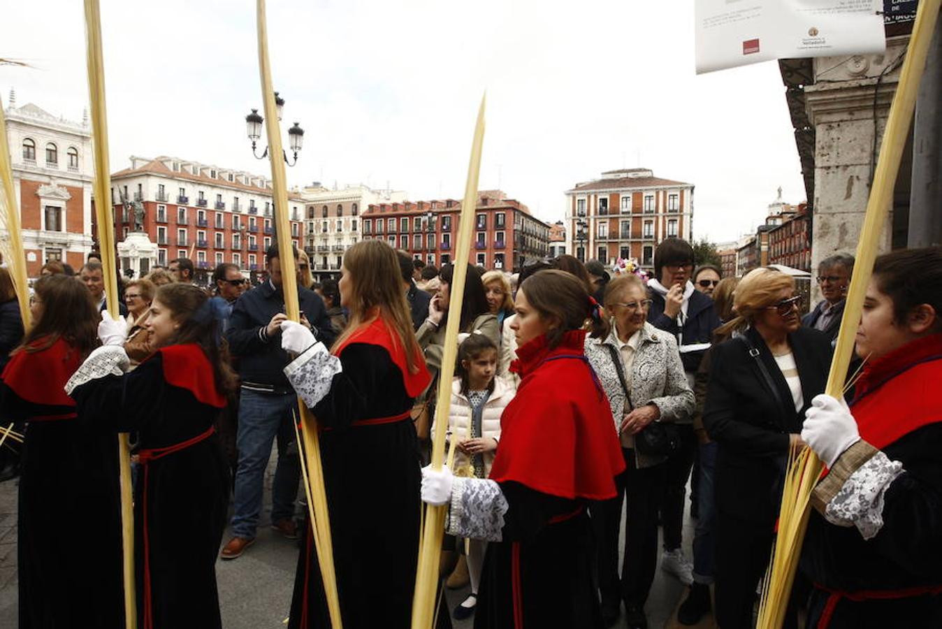 Fotos: Procesión de la Borriquilla (6/6)