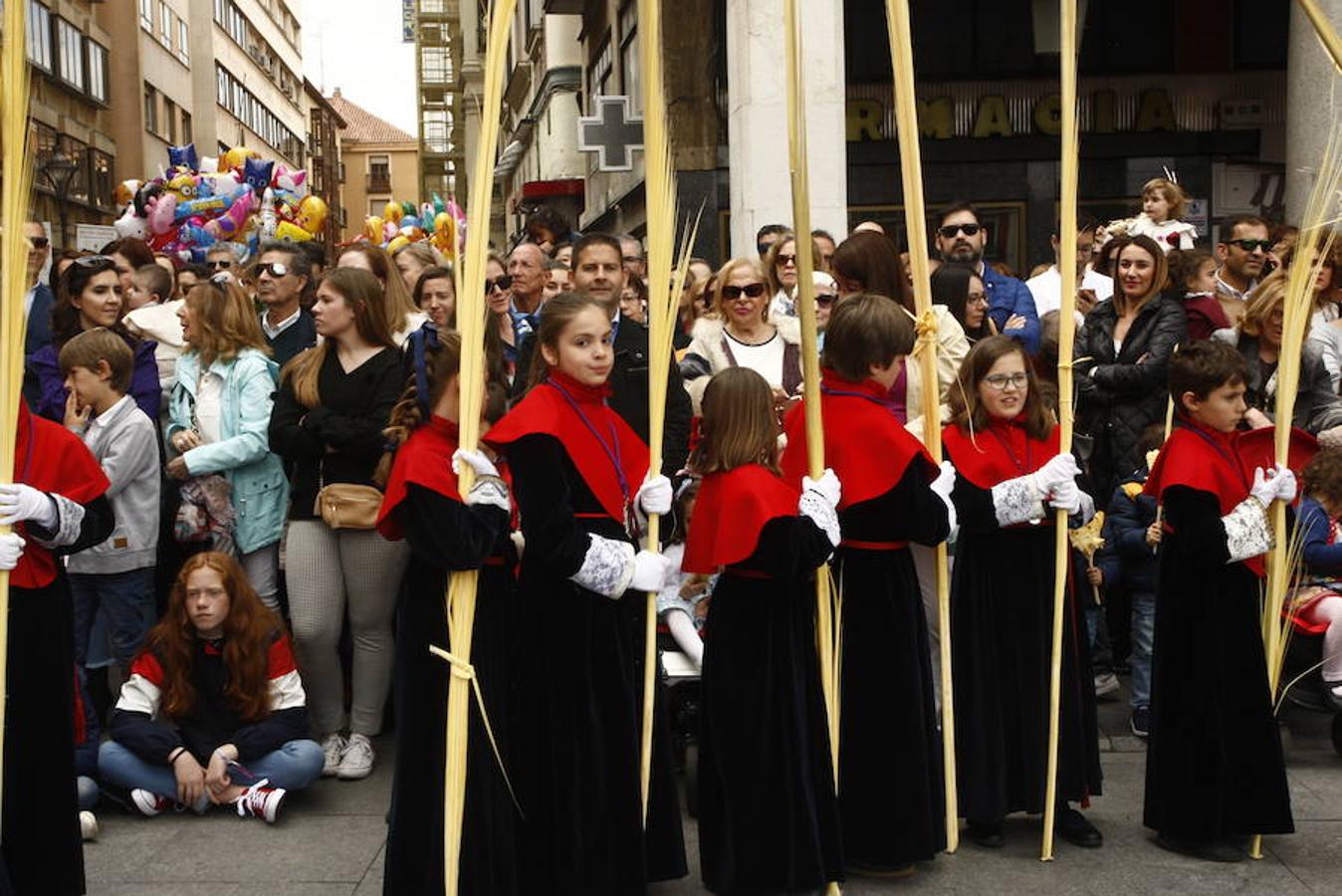 Fotos: Procesión de la Borriquilla (6/6)