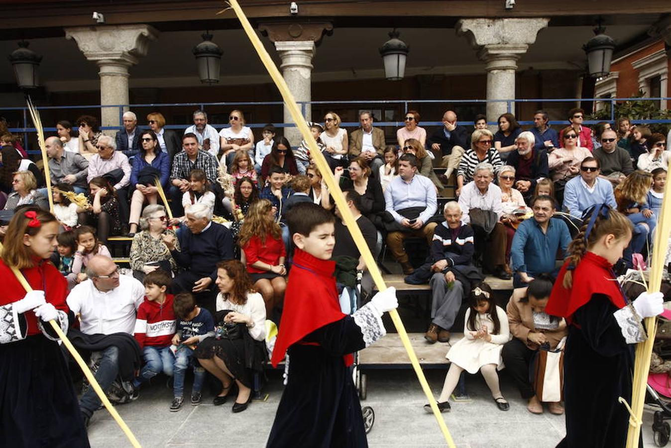 Fotos: Procesión de la Borriquilla (6/6)
