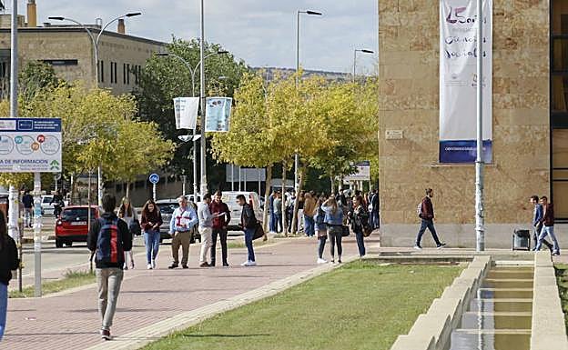 La mitad de los jóvenes entre los 15 y 21 años considera que la crisis les ha afectado. 