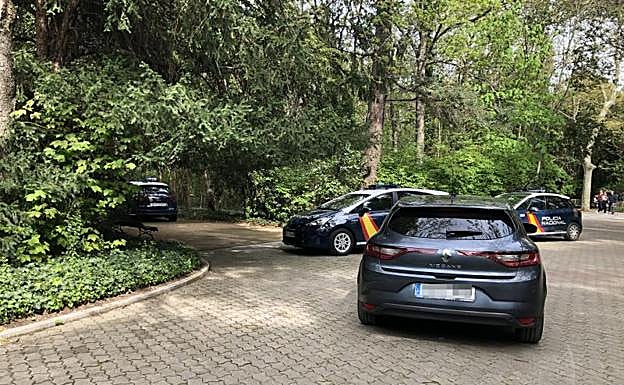 Tres patrullas de la Policía Nacional y otra camuflada, durante la intervención en el Campo Grande.