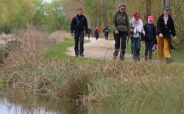 La reina Matilde, en su recorrido por las inmediaciones de Frómista. 